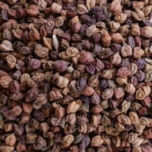 Black Chickpeas (کالا چنا)